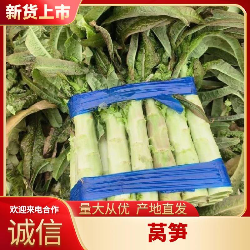 莴苣三青皮莴笋《青皮青肉无空心》安徽埇桥产地发货品质保障
