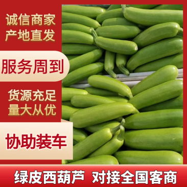 精品西葫芦价钱实惠品质保证对接全国电商商超