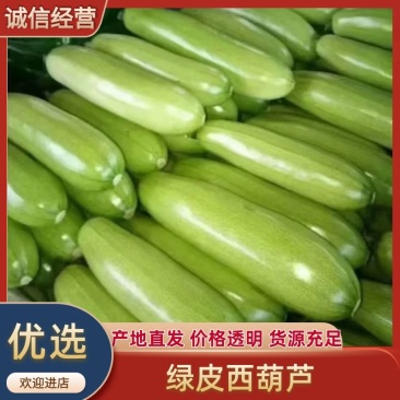 绿皮西葫芦0.6斤以上山东产区直发保质保量供货