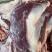 鹿肉新鲜鹿肉各种规格都有包装好分量足欢迎咨询