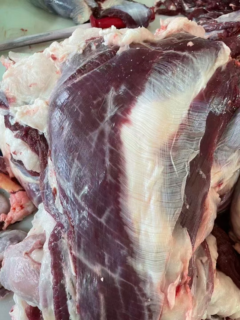 鹿肉新鲜鹿肉各种规格都有包装好分量足欢迎咨询