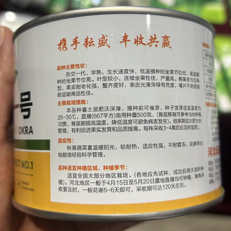 绿霸一号水果秋葵种子杂交一代早熟耐热高产抗病农家基地专用