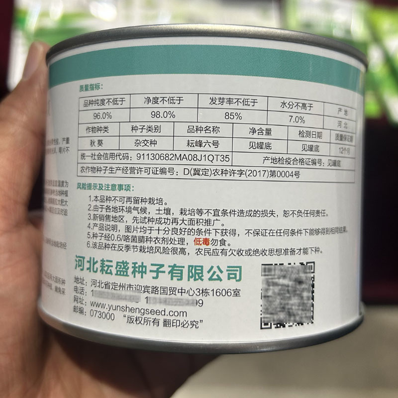 凌云6六号水果黄秋葵种子高产抗病条形基地大田专用秋葵种
