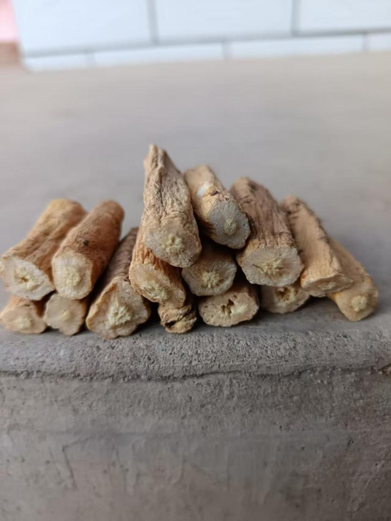 甘肃白条党参现货先发品质保证供应全国欢迎咨询！