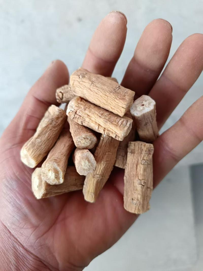 甘肃白条党参现货先发品质保证供应全国欢迎咨询！
