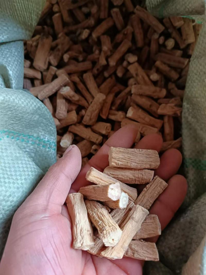 甘肃白条党参现货先发品质保证供应全国欢迎咨询！
