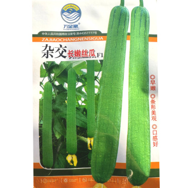 杂交长嫩丝瓜种子节节长丝瓜种子味甘甜