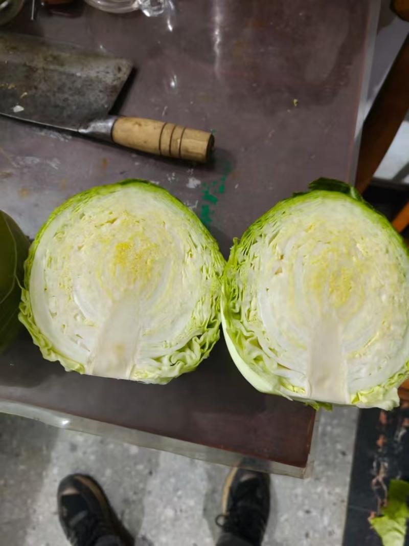 【走货快】平扁包菜奥奇那量大发货价格合理对接市场