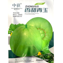 香甜青玉甜瓜种子早熟耐放甜到心浓香型吊蔓地爬均可