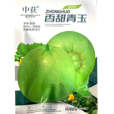香甜青玉甜瓜种子早熟耐放甜到心浓香型吊蔓地爬均可