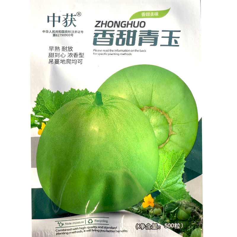香甜青玉甜瓜种子早熟耐放甜到心浓香型吊蔓地爬均可