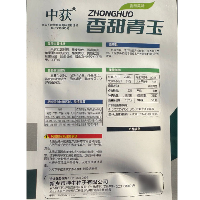 香甜青玉甜瓜种子早熟耐放甜到心浓香型吊蔓地爬均可