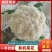 福建漳州有机松花（散花）新上市，欢迎广大老板前来采购！