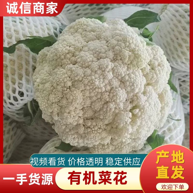 福建漳州有机松花（散花）新上市，欢迎广大老板前来采购！