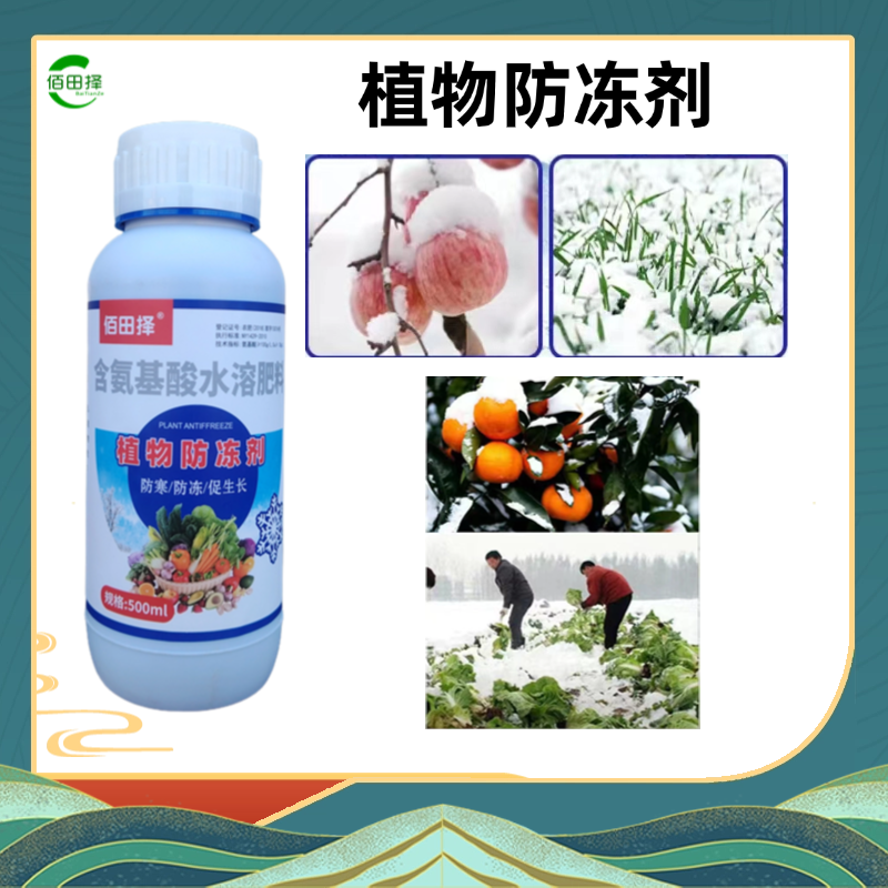 花卉防冻剂花卉防寒抗冻剂花卉专用叶面肥解冻害抗低温花卉防