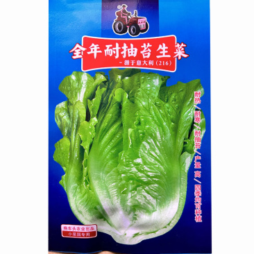 全年耐抽苔生菜种籽香甜生菜种子四季蔬菜种孑耐热春秋季菜