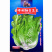 全年耐抽苔生菜种籽香甜生菜种子四季蔬菜种孑耐热春秋季菜