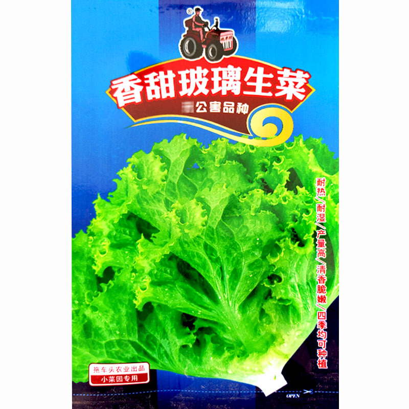 香甜玻璃生菜种子奶油生菜耐热耐寒耐抽苔沙拉生菜四季种植