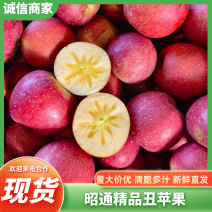 昭通精品糖心丑苹果，大量新鲜现货，欢迎老板选购