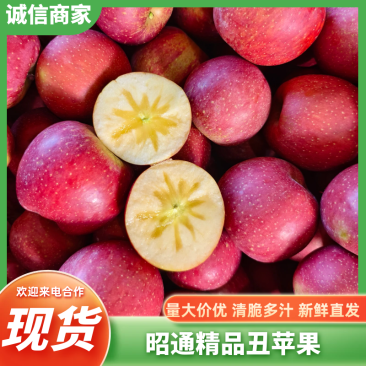 昭通精品糖心丑苹果，大量新鲜现货，欢迎老板选购