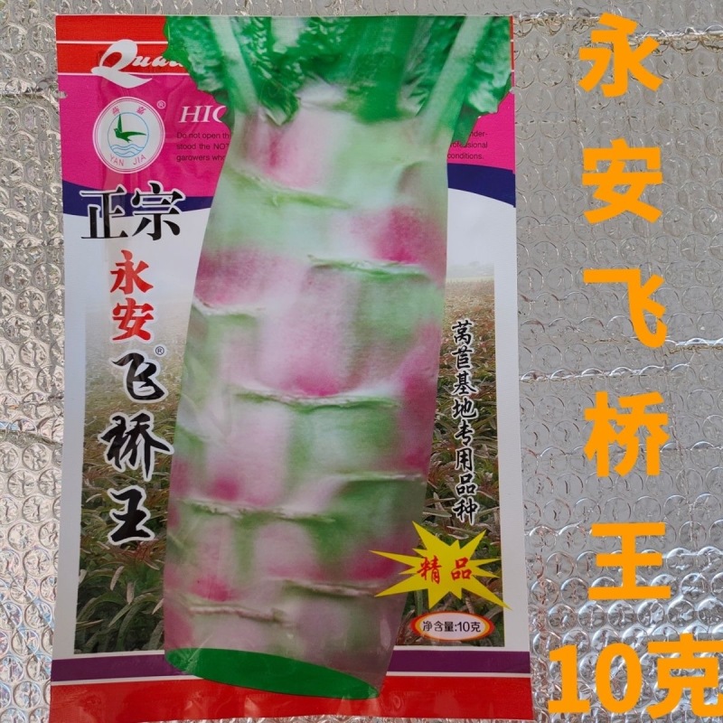 永安飞桥王莴笋种子中晚熟叶面皱叶尾尖皮薄香味浓