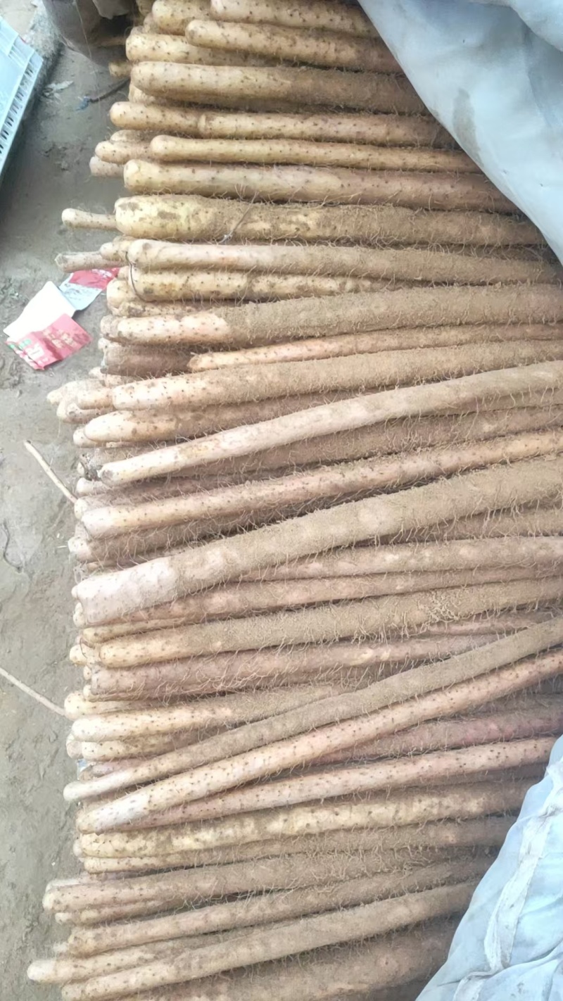 精品河北铁棍山药，可按需水洗包装，服务周到，品质保证