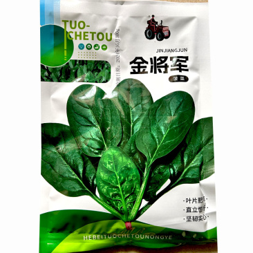 金将军菠菜种子杂交一代菠菜耐抽苔直立性强半圆黑叶厚菠菜