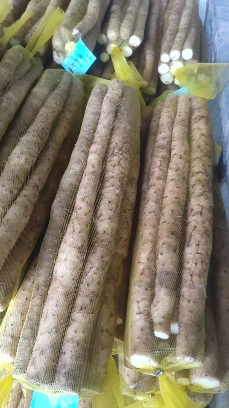 河北小白嘴白山药，可按需水洗包装，服务周到，价格优惠