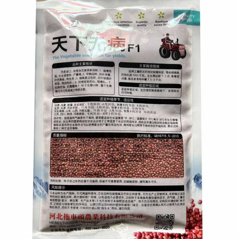 圆叶菠菜种子天下无病丹曼进口早熟耐热耐寒易札捆