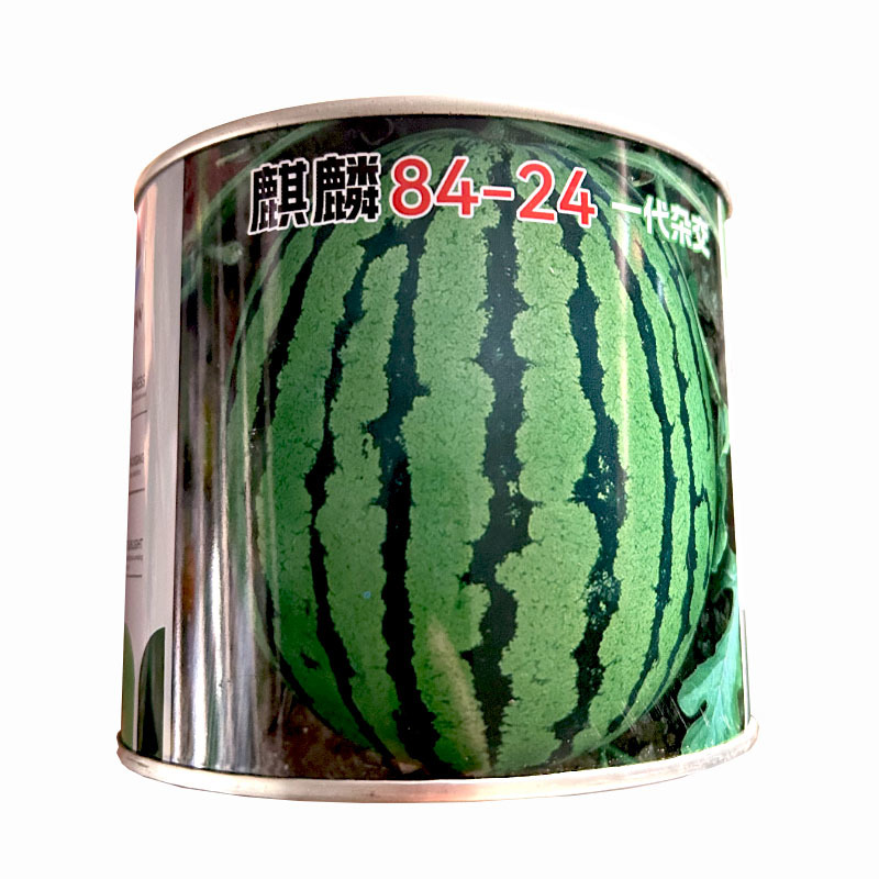 麒麟8424西瓜种子皮薄脆早熟甜度高14%易坐果耐高温