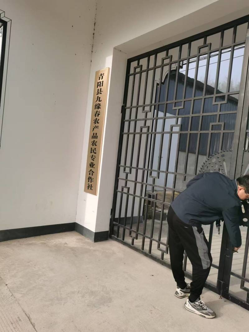 黄山碳烤笋丝玉兰笋丝开袋即炒野生食材固形物90%