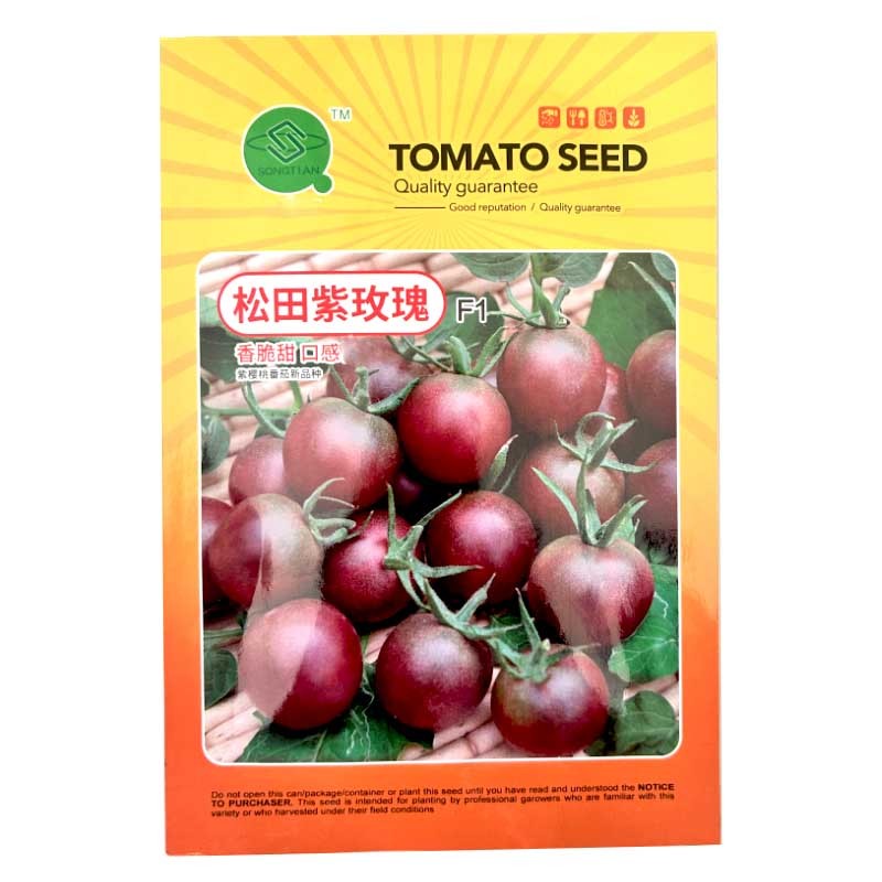 紫番茄种子小果樱桃番茄种籽松田紫玫瑰小西红柿籽农场露地
