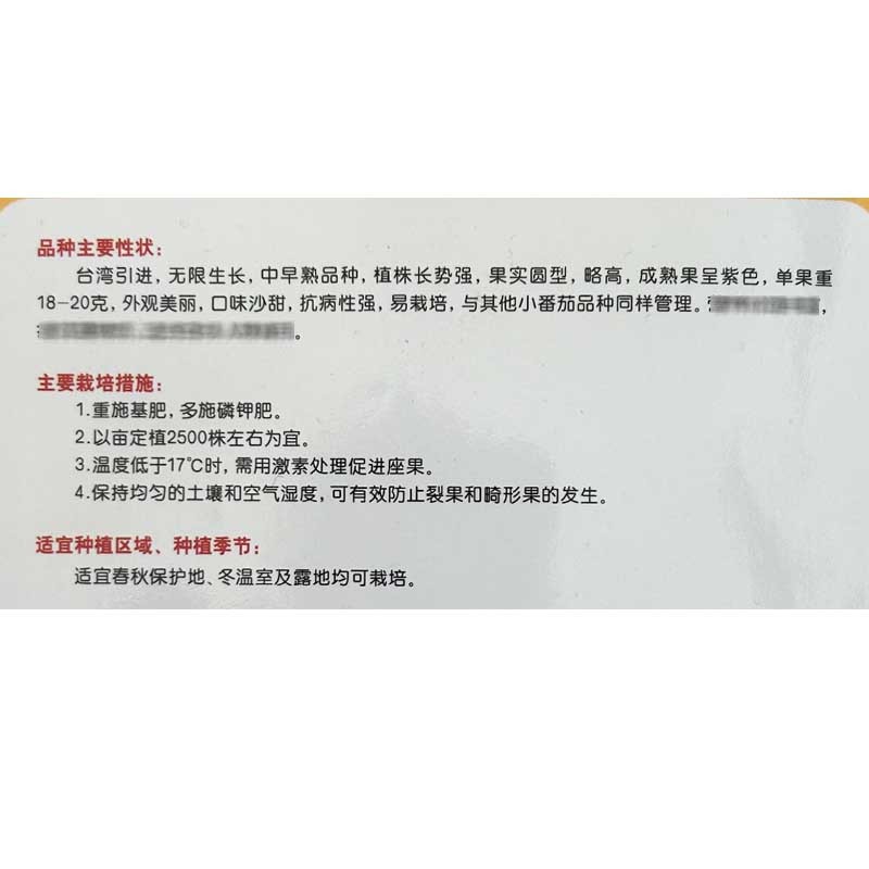 紫番茄种子小果樱桃番茄种籽松田紫玫瑰小西红柿籽农场露地
