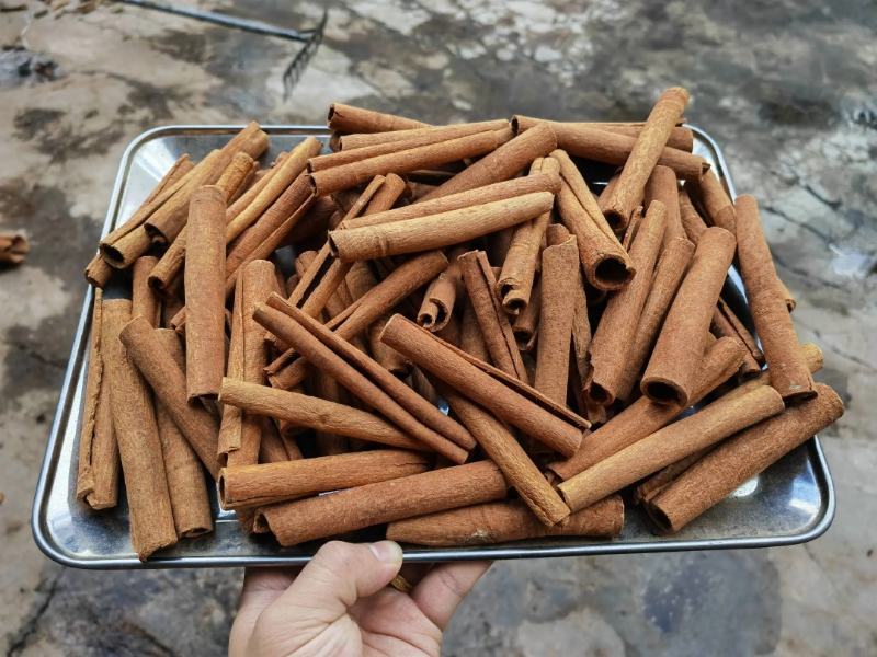 广西桂皮晒干足干肉桂香料卤料大料八角香叶桂皮批发