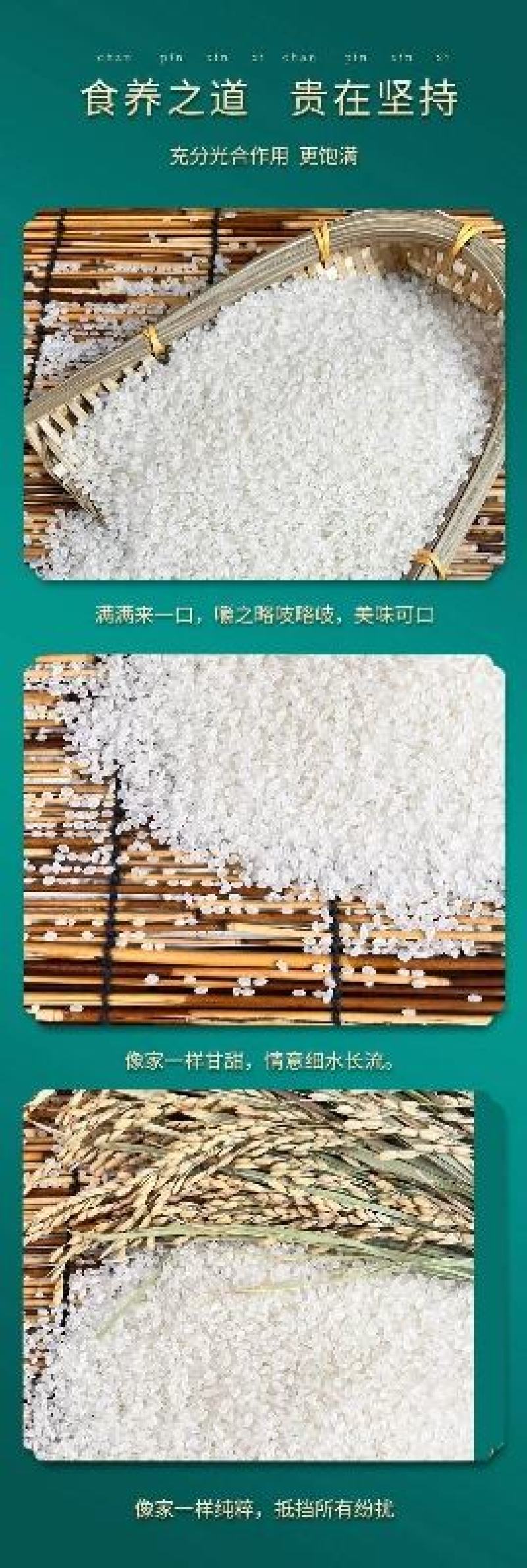 东北大米珍珠米五斤装支持代发招全国代理商量大优惠