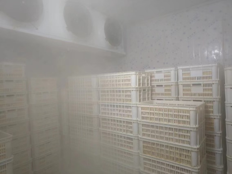 潮汕特产卷章猪肉卷章对接.餐厅.食堂.家庭.烧烤都可以使用