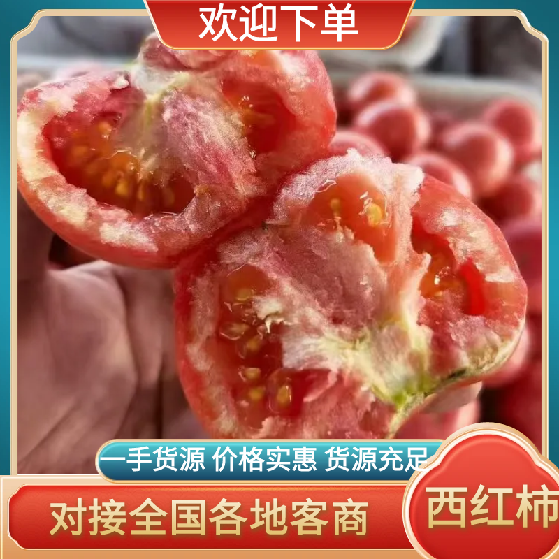 西红柿硬粉西红柿大量供应对接市场电商欢迎咨询