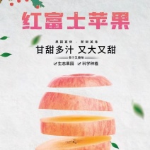 红富士苹果脆甜可口产地直发新鲜采摘发货
