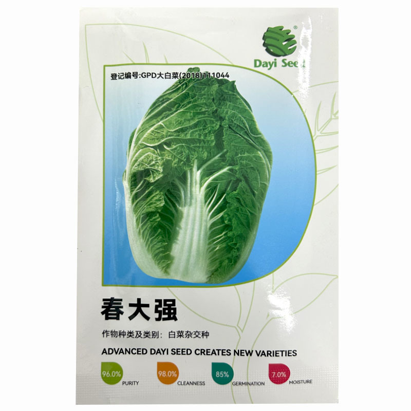 春大白菜种子春大强大白菜籽结球紧实耐抽苔春秋种植