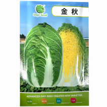 金秋白菜种子早熟黄心大白菜种籽孑秋季抗病黄芯韩国耐抽苔高