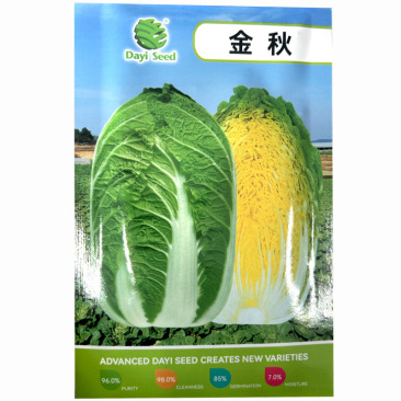 金秋白菜种子早熟黄心大白菜种籽孑秋季抗病黄芯韩国耐抽苔高