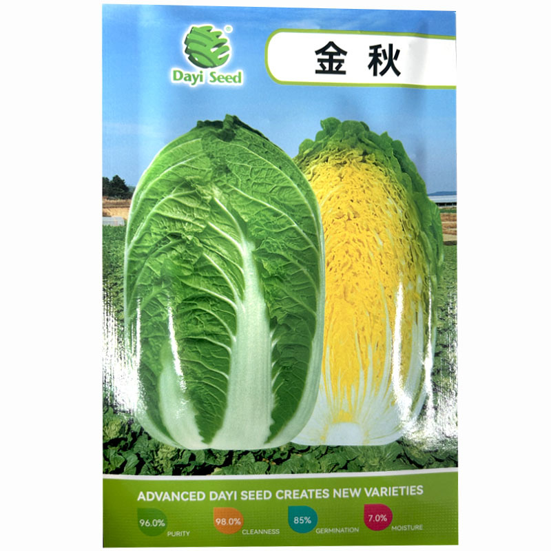 金秋白菜种子早熟黄心大白菜种籽孑秋季抗病黄芯韩国耐抽苔高