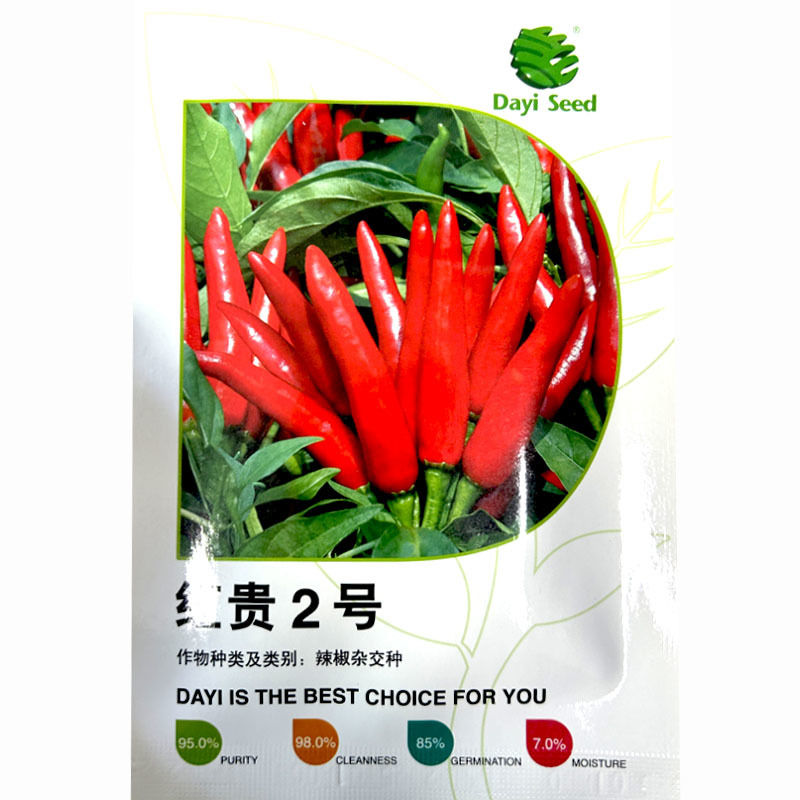 红贵2号朝天椒种子簇生大果红色米椒鲜食香辣加工朝天辣椒