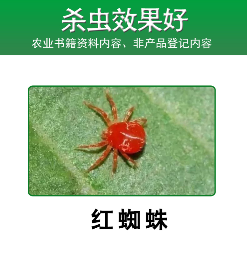 正品联肼乙螨唑鼎鼎红45%联苯肼酯柑橘树红蜘蛛专杀红蜘