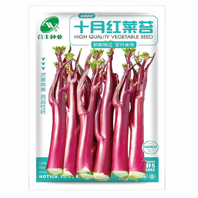 十月红菜苔种子早中熟耐热紫红色抗病大田用种