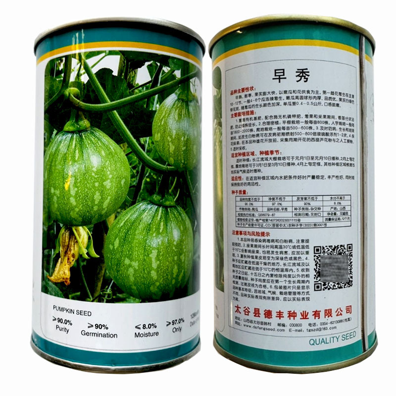 早秀一串铃南瓜种子口感好早熟挂果多膨果快农家春秋播种精选
