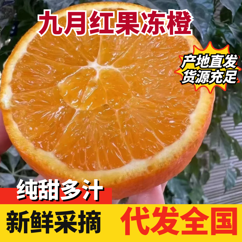 【实力】九月红脐橙湖北产区直发对接全国电商商超