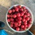 【无烂果】千禧圣利果对接商超大量发货欢迎进店下单