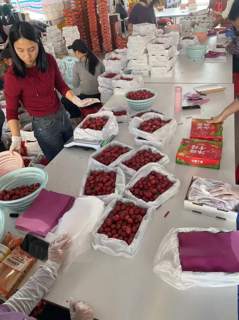 【无烂果】千禧圣利果对接商超大量发货欢迎进店下单