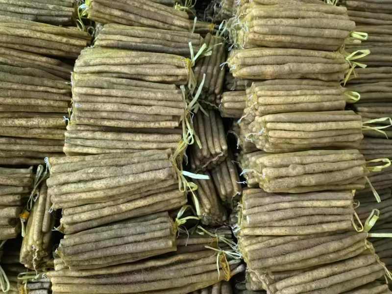 石家庄无极县山药，大量新鲜现货，欢迎各位老板前来选购
